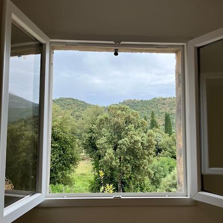 Appartement Soveria Esterno foto