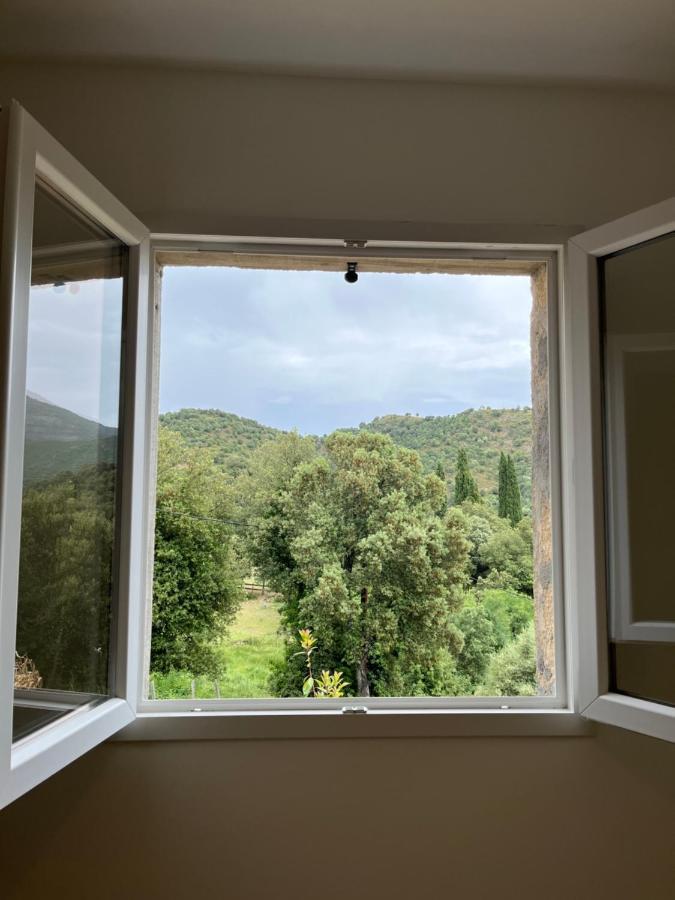 Appartement Soveria Esterno foto
